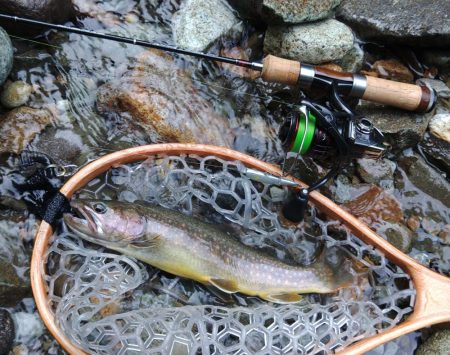 増水の谷でイワナ釣り